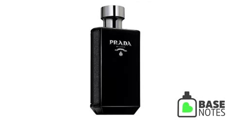 prada men base notes|prada l'homme.